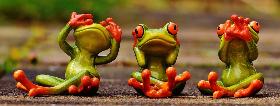 frogs-1274769_960_720
